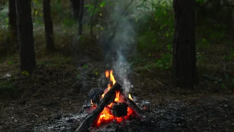 Distant campfire burning in the dark forest with flames and smoke Stock-Footage 345121452