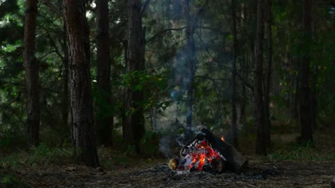 Distant campfire glowing in the dark forest with embers and smoke Stockbeeldmateriaal 345121495