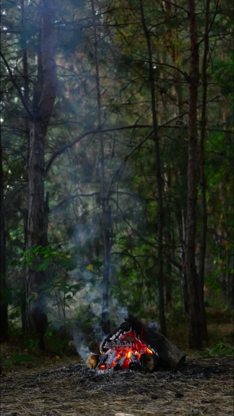Distant campfire glowing in the dark forest with smoke and trees Stock-Footage 345121597