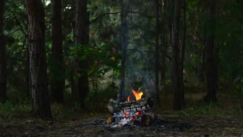 Distant campfire glowing in the dark pine forest with smoke and trees Stock Footage 345121504