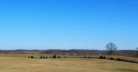 Distant Cattle and Blue Sky 5K Stock-Footage 21667895