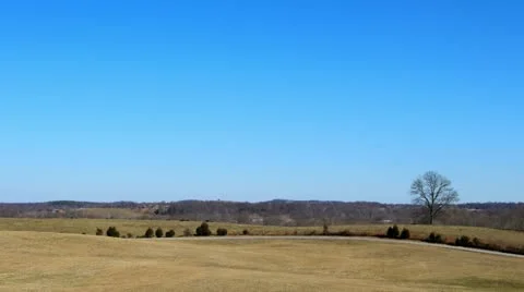 Distant Cattle and Blue Sky HD Stock Footage