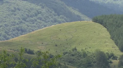 Distant circles in the grass Stock-Footage 41128034