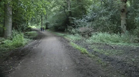 Distant Couple Walk With Dog Epping Forest Path Stock Footage 41421302
