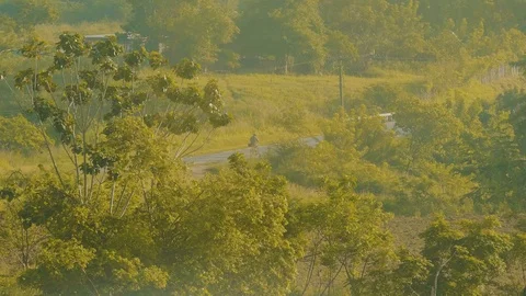 Distant cyclist seen through trees in rural cuba Stock Footage 88762786