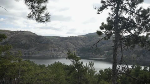 Distant dam lake view through trees Stock Footage 225679183
