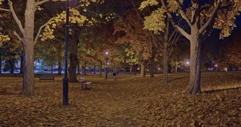 A Distant Dog Walker Crosses a Golden Autumn Park After Dark Stock Footage 337940629