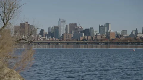 Distant early spring view of Boston across body of water Stock Footage 231355742