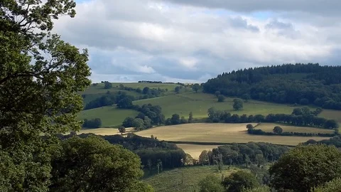 Distant farmland meadow patchwork landscape scene rolling hillside range Stock Footage 111680408
