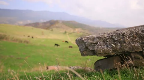 Distant field with cattle rack focus slider shot Stock Footage 52848923