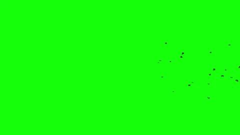 Distant Flock of Birds Flying Right to Left - Green Screen - 4K Stock Footage 332063351