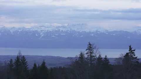 Distant forest and mountains under soft dawn light Stock Footage 323470846