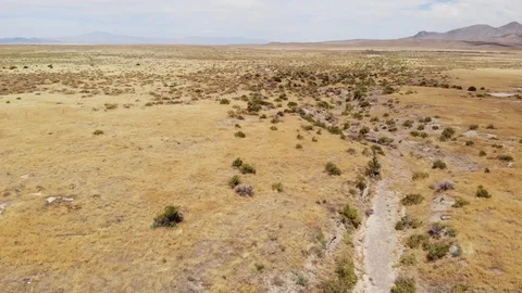 A Distant Freight Train in the Vast Wide Open Nevada Desert - Aerial Drone Stock Footage 114485834