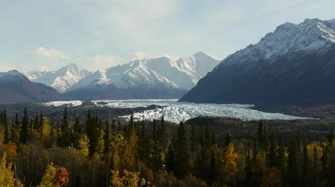 Distant Glacier, Autumn Forest Foreground, Snowy Mountain Background Stock Footage 38107046
