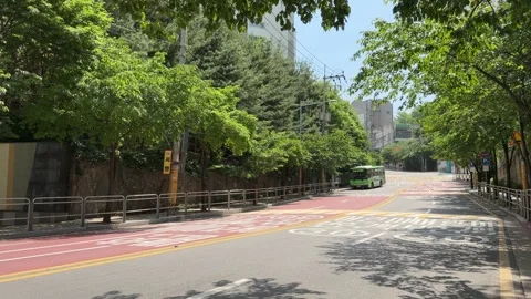 Distant Green City Bus on Tree-Lined Seoul Street Stock Footage 338293617