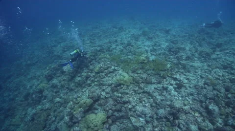 Distant group of scuba divers taking images on exposed seaward wall and plateau Stock Footage 61938105