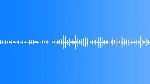 Distant Grouse, bird songs, jumping fish, and flying insects heard throughout Sound Effect