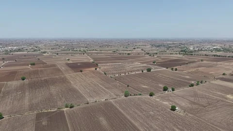 Distant high altitude drone flight scanning across a massive patchwork of dry Video stock 337247417