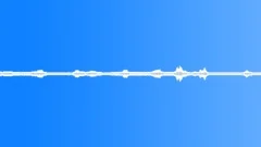 Distant highway, birds, traffic Sound Effect