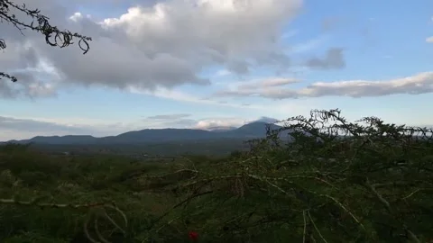 Distant Hills and Mountain Range View Framed by Trees Under Cloudy Sky Video stock 309047876