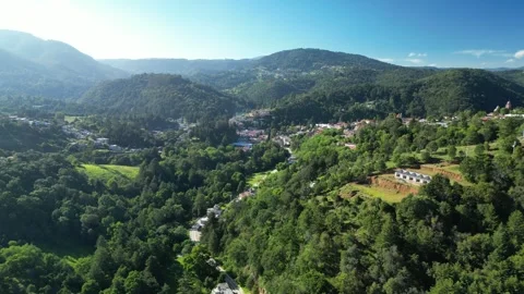 Distant hillside town surrounded by pine forest Stock Footage 346015711