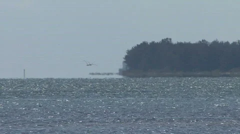 Distant Island Stock Footage