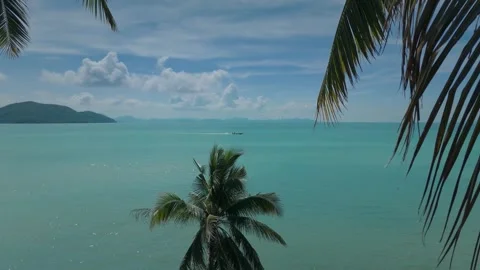 Distant islands beyond palm canopy. Lush palm trees frame breathtaking view of Stock Footage 312745188