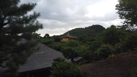 Distant Landscape View of Golden Pavilion Kinkakuji Temple Framed by Nature and Stock Footage 342339738