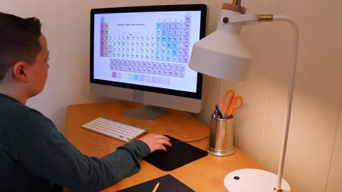 Distant Learner at Desk Stock-Footage 148505574