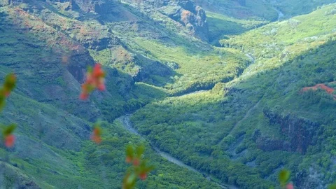 Distant Lower Waimea River Canyon Kauai Hawaii Video stock 81647903