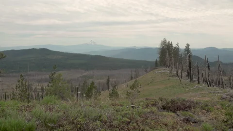 Distant mountain with burned forest Stock Footage 165269881