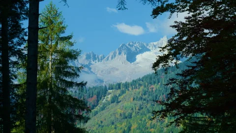 Distant Mountain Range Seen Through Dense Forest Trees Stock Footage 320209900