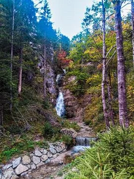 Distant Mountain River Flowing Through Dense Forest Wilderness 스톡 사진