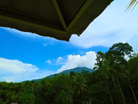 Distant mountain views among coconut trees Stock Photos