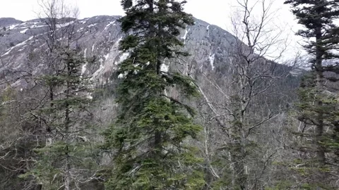 Distant mountain views in the spring from the Skagway, Alaska to British Stock-Footage 336796608