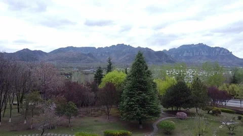 Distant mountains and woods with white clouds Stock Footage 247363296
