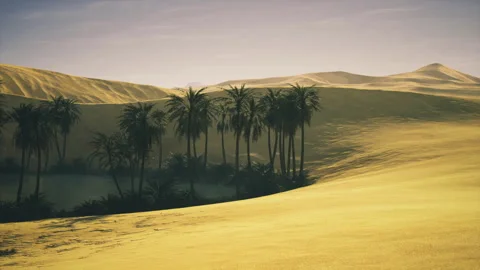 Distant oasis on gentle dune horizon bathed in soft morning light and mist Stock Footage 343623561