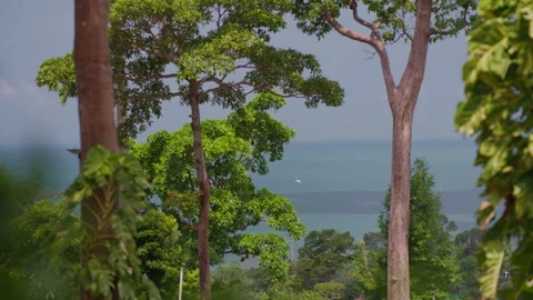 Distant Ocean Horizon with Small Boat Through Green Trees Stock Footage 337533276