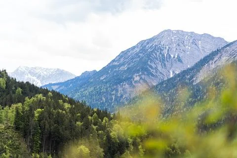 Distant Peak Behind Forest Stock Photos