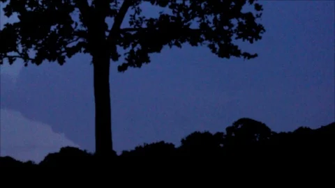 Distant Pink Lightning Forks in Dark Sky Stock Footage 112695028