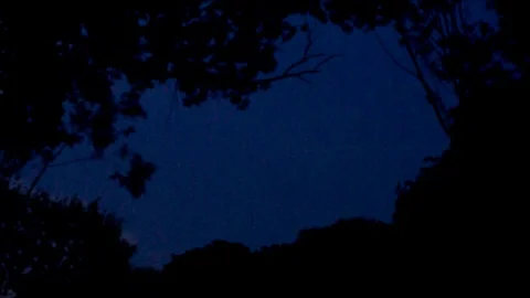 Distant Pink Lightning Forks in Dark Sky Stock Footage 112695062