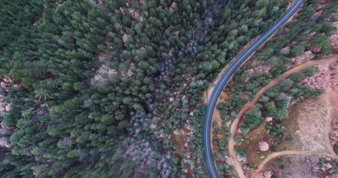 Distant, pull back shot of an asphalt road surrounded by evergreen trees Stock Footage 145990088