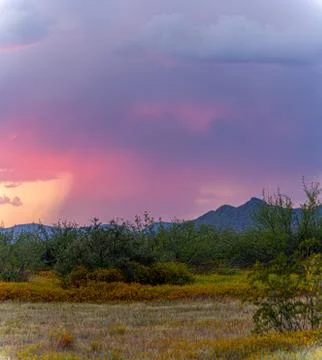 Distant rain in the Sonoran Desert of Arizona during sunset Stock Photos
