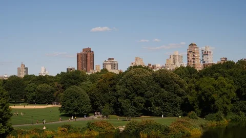 Distant scene of the Great Lawn of Central Park with People walking about. Stock Footage 115012342