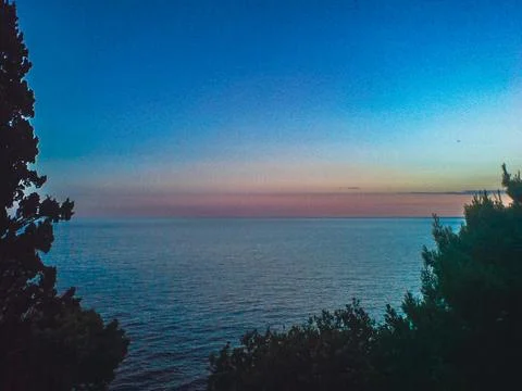 Distant Sea View at Dusk with Trees 写真素材