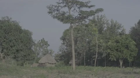 Distant settlement Stock Footage 308013455