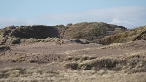 Distant Shot of Dunes and Grass Stock-Footage 265411089