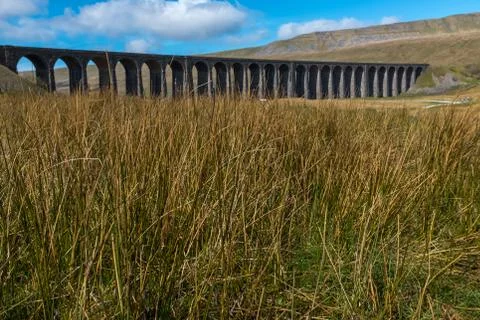 A distant shot through the meadow grass of the sweeping majestic Ribblehead Stock Photos