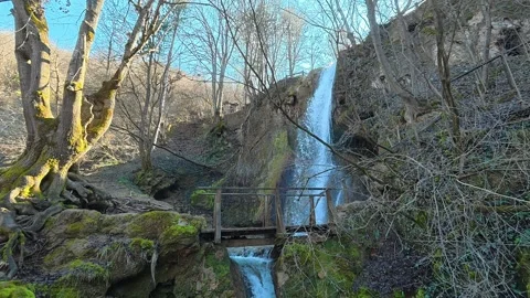Distant Side View of Forest Waterfall with Tree – Autumn Clear Sky Video stock 330552060
