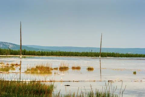 Distant side view of Grand Prismatic Spring on the Fairy Falls trail Stock Photos